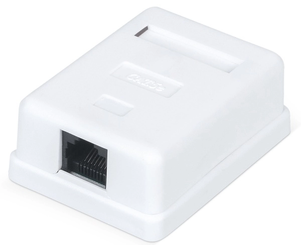 Розетка компьютерная RJ-45, категория 5e, неэкранированная, одинарная, внешняя, Dual IDC, цвет белый WRLine