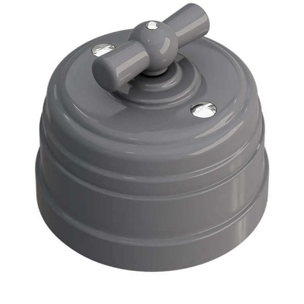 Выключатель пластиковый поворотный на 4 положения (двухклавишный) серый УСАДЬБА МЕЗОНИНЪ