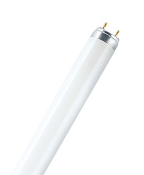 Люминесцентная лампа OSRAM СМ L58W/ 865 PLUS ECO  G13 D26mm 1500mm (дневной белый 6500 K) - лампа 4008321582720