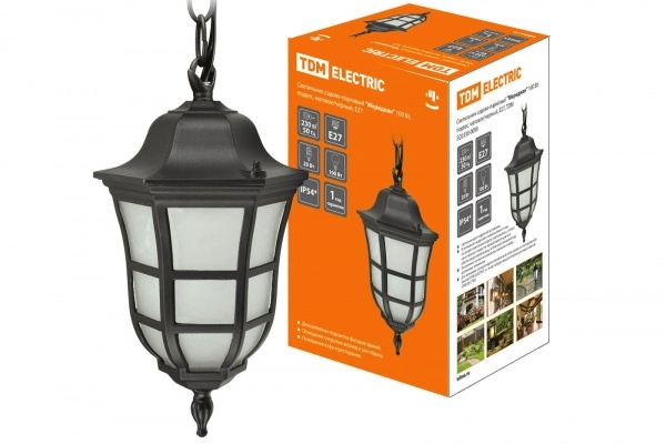 Садово-парковый светильник TDM "Меридиан" 100 Вт, подвес, матовое/черный, Е27