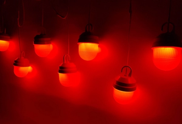 Гирлянда сигнальная светодиодная (12V., фонарь ФС-12, шаг 2 п.м.) L=100 п.м. без драйвера