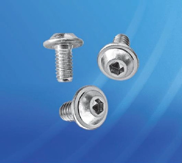 Винт крепежный S6.10MX (100шт)  Provento