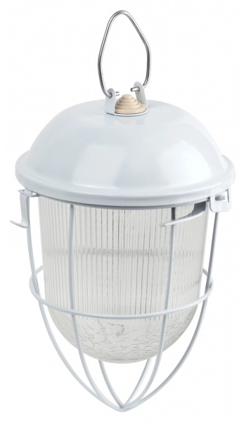 Светильник ЭРА НСП 02-100-003 с решеткой Желудь сталь стекло IP54 E27 max 100Вт 170х300 белый