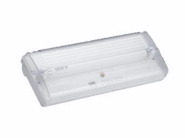 Светильник Световые Технологии EFS 190  65х335х125 IP65 1ч непостоянный
