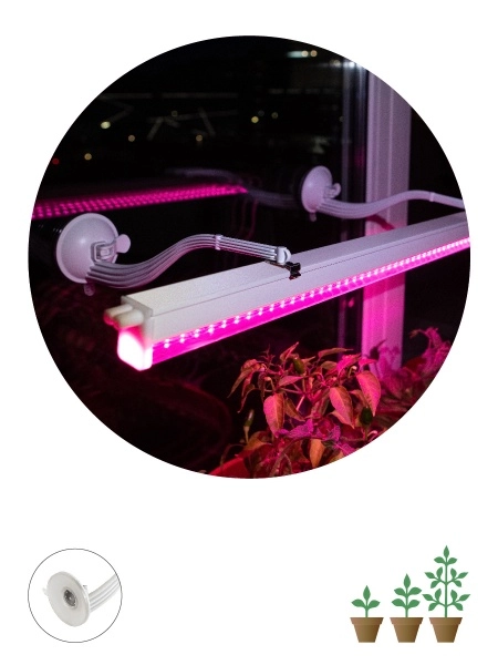 Кронштейн для фитоламп и фитосветильников ЭРА FITO-Hanger на присоске