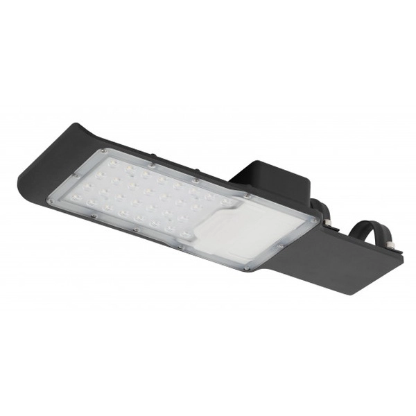 Светильник светодиодный уличный консольный ЭРА ДКУ 50Вт 3000K 5000Лм КСС "Ш-с" SPP-503-0-30K-050 DOB-SMD 48мм