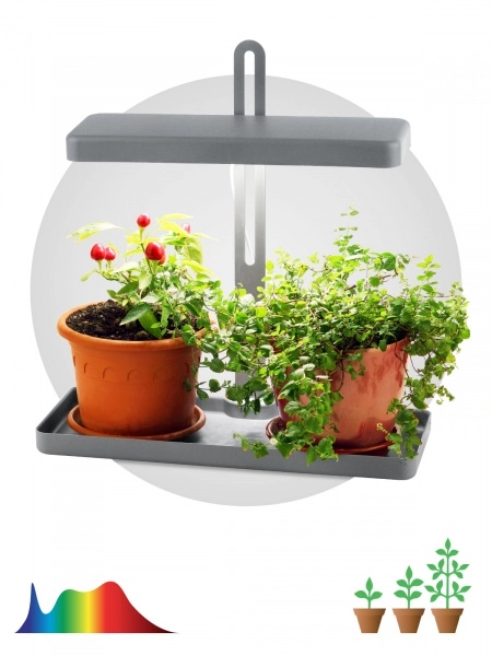 Светильник ЭРА FITO-20W-QLED-G настольный для грунта