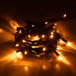 Гирлянда "Нить" УЛИЧНАЯ IP44 3м желтый свет ЧЕРНЫЙ КАУЧУК 220В ЭРА ERAPS-NZ1