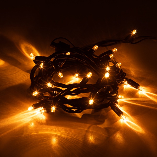 Гирлянда "Нить" УЛИЧНАЯ IP44 3м желтый свет ЧЕРНЫЙ КАУЧУК 220В ЭРА ERAPS-NZ1