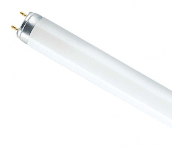 Люминесцентная лампа OSRAM L 36Вт 765  G13